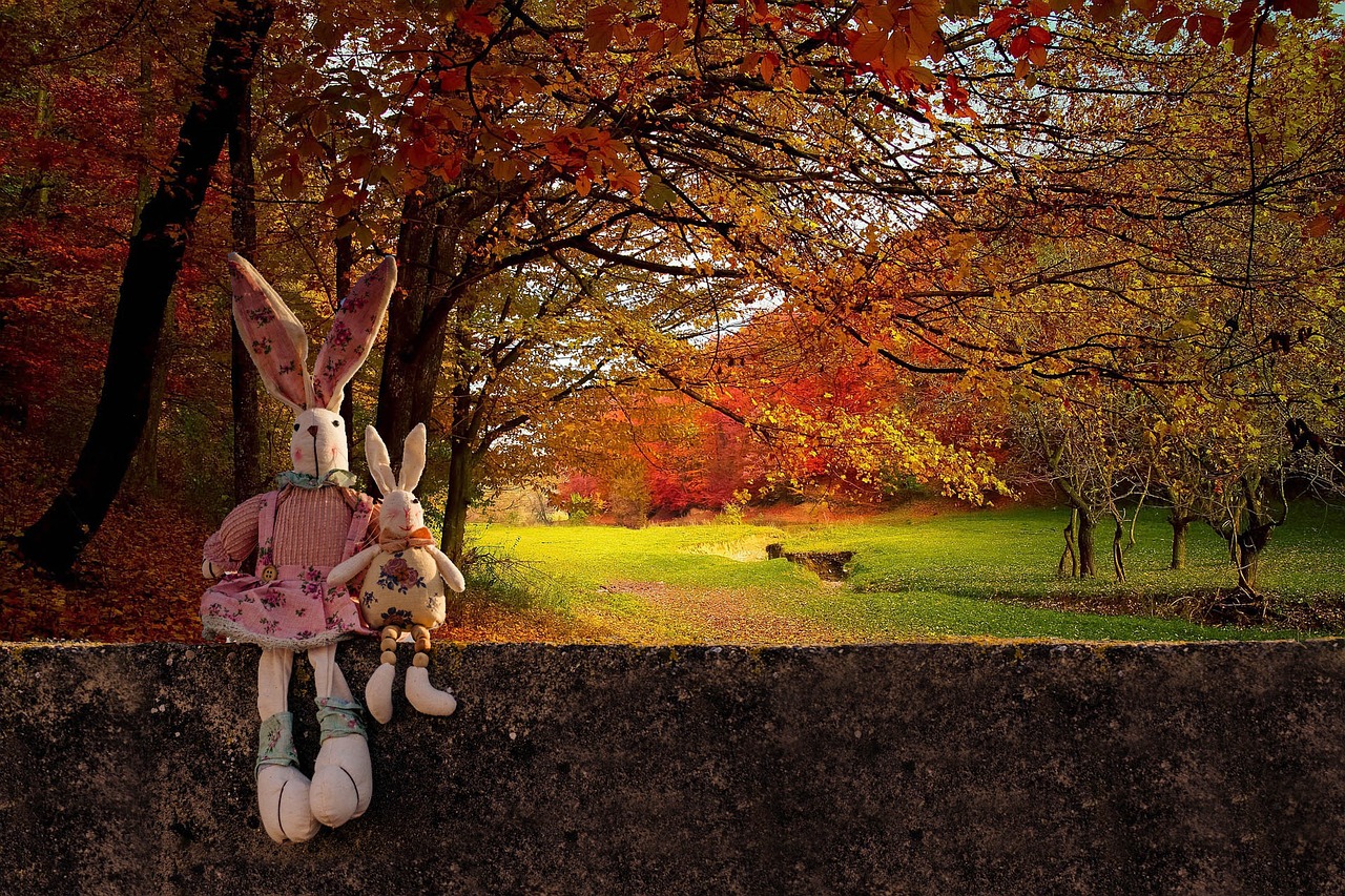 Autumn image with rabbits